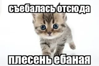 Стикер Больше стикеров 👉🏻 @stickertg4 - 2