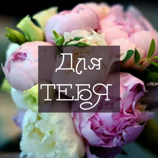 Sticker VL•Lithuania17.1 - 9