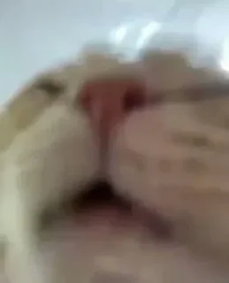 Стикер Создано в @sozdsti_bot - 3