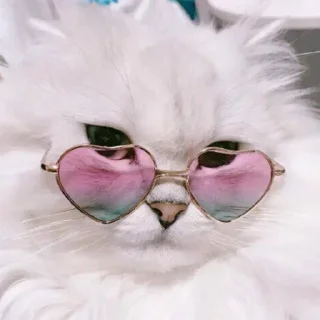 Стикер Создано в @sozdsti_bot - 11