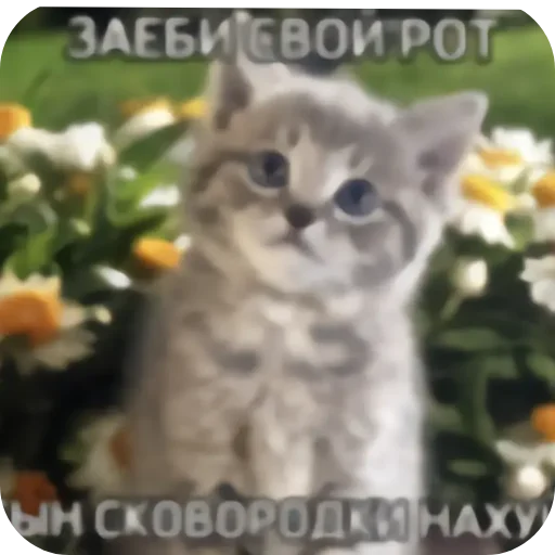 Sticker VMneNormalnt - 1