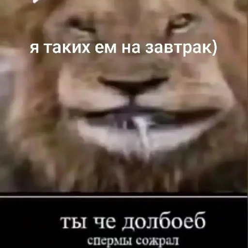 Sticker VMneNormalnt - 1