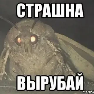 Sticker В мне нормальнт - 9