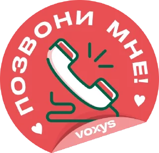 Стикер VOXYS TEAM - 7