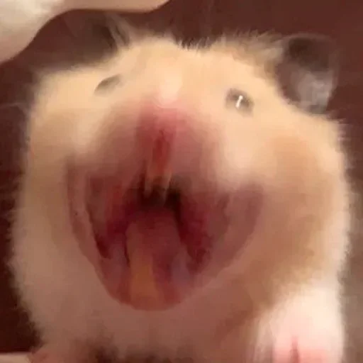 Sticker VRZCBMFKMO_by_sticker_v_bot - 1