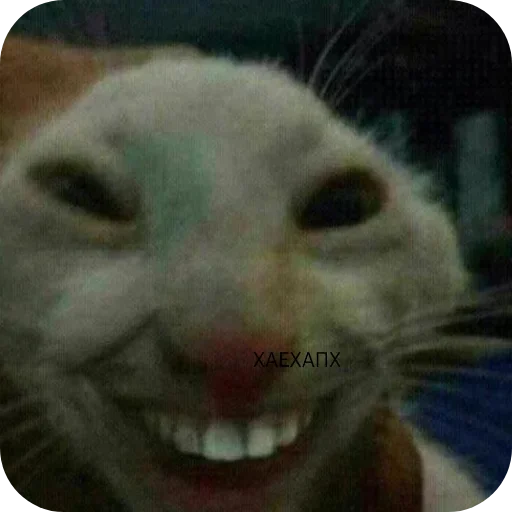 Sticker VSSXqeK_by_achestickbot - 1