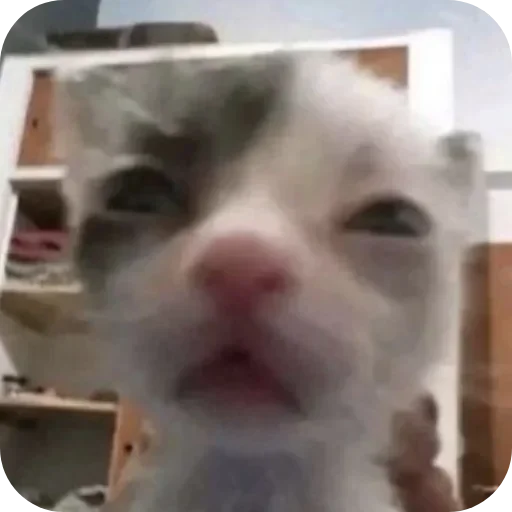 Sticker VSSXqeK_by_achestickbot - 1