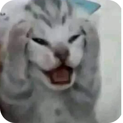 Sticker VSSXqeK_by_achestickbot - 1