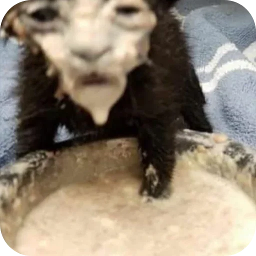 Sticker VSSXqeK_by_achestickbot - 1