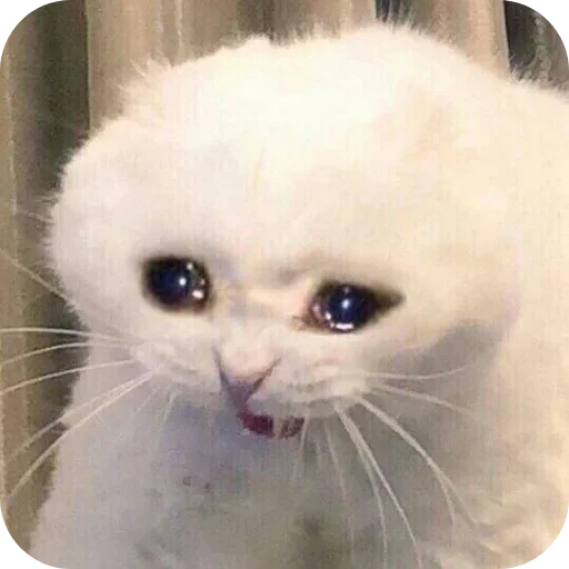 Стикер VSSXqeK_by_achestickbot - 1