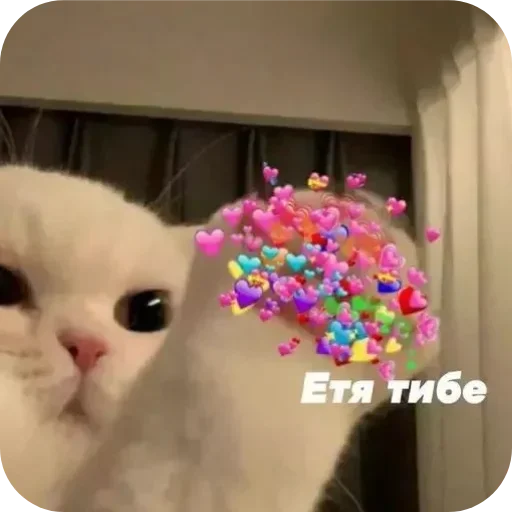 Стикер VSSXqeK_by_achestickbot - 1