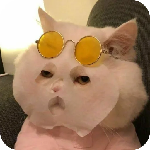 Стикер VSSXqeK_by_achestickbot - 1