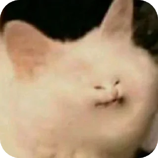 Стикер Больше стиков тут: @stikery4 - 6