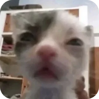 Стикер Больше стиков тут: @stikery4 - 9