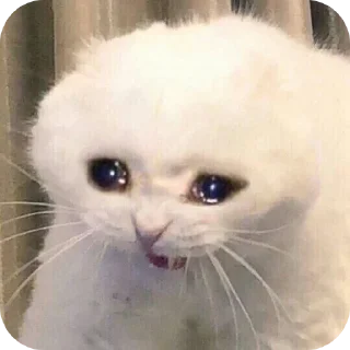 Стикер Больше стиков тут: @stikery4 - 2