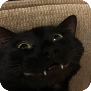 Стикер Больше стиков тут: @stikery4 - 8