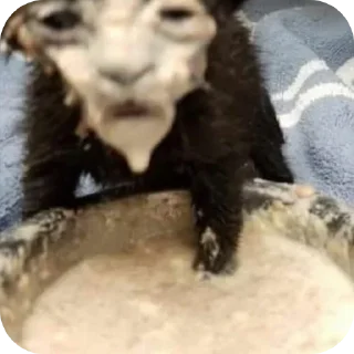 Стикер Больше стиков тут: @stikery4 - 5