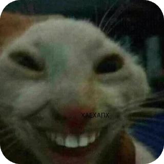 Стикер Больше стиков тут: @stikery4 - 10