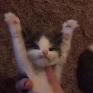 Sticker Больше стикеров тут: @allstickers_tg - 10