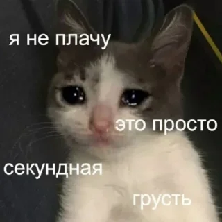 Sticker Создано в @sozdsti_bot - 8