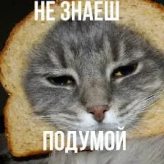 Sticker Создано в @sozdsti_bot - 10