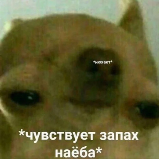 Sticker VVbyArti - 1