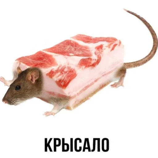 Sticker VVbyArti - 1