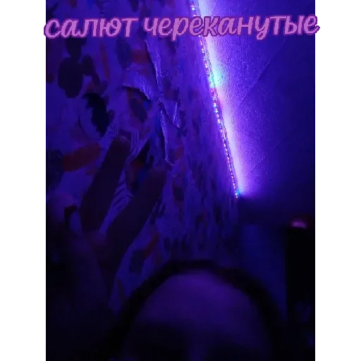 Sticker VXE3oJu7LTYZ_by_stqr_bot - 1