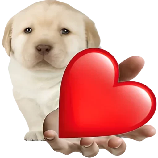 Sticker VXGTLENAZU_by_stikers_du_ark_bot - 1