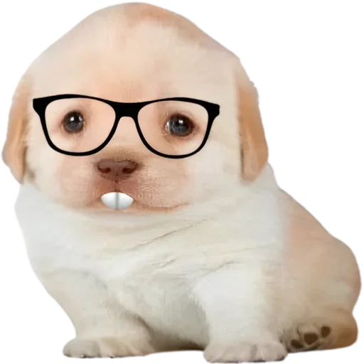 Sticker VXGTLENAZU_by_stikers_du_ark_bot - 1