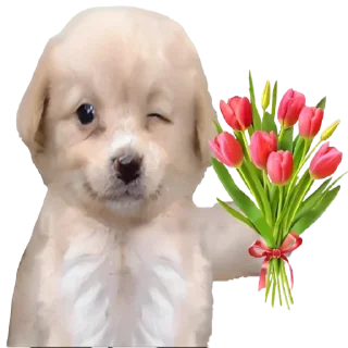 Sticker @sticksbb 🩷 <- канал со стиками - 3