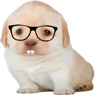 Sticker @sticksbb 🩷 <- канал со стиками - 1