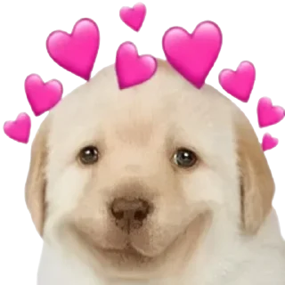 Sticker @sticksbb 🩷 <- канал со стиками - 2