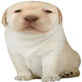 Sticker @sticksbb 🩷 <- канал со стиками - 8