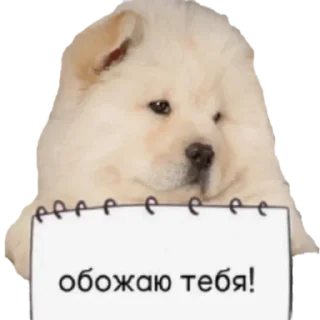 Sticker @sticksbb 🩷 <- канал со стиками - 5