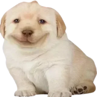 Sticker @sticksbb 🩷 <- канал со стиками - 0