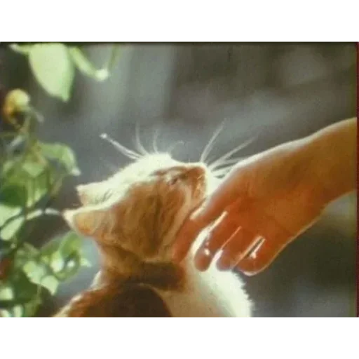 Больше стиков тут: @stikery4 - 