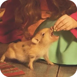 Стикер Больше стиков тут: @stikery4 - 3