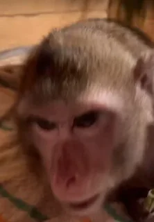 Стикер Пак создан в @moyi_stikery_bot - 2