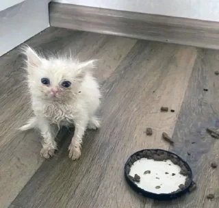 Стикер Пак создан в @moyi_stikery_bot - 8