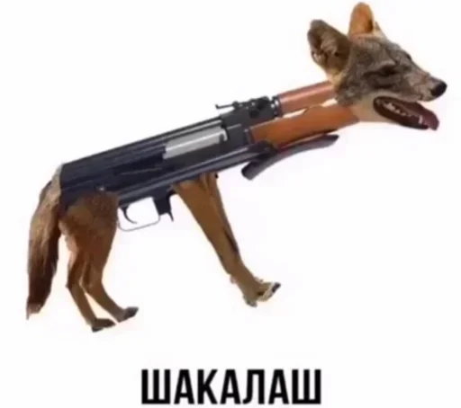 Sticker VZWpWXUgMc_by_stickers_stealer_bot - 1