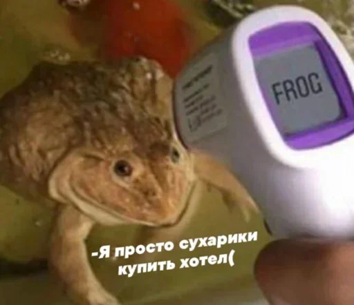 Sticker VZWpWXUgMc_by_stickers_stealer_bot - 1