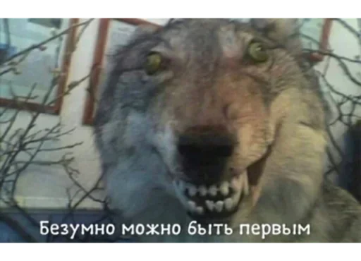 Sticker VZWpWXUgMc_by_stickers_stealer_bot - 1