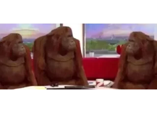 Sticker @stiki_tg_nah_canal - 3