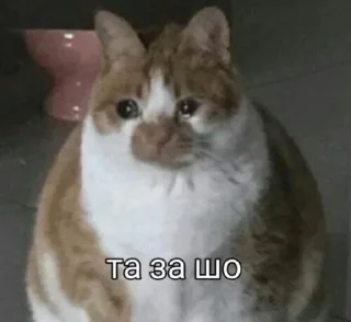 Sticker @stiki_tg_nah_canal - 5