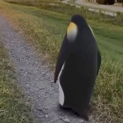 Sticker VZeQPdO_by_sticbot - 1