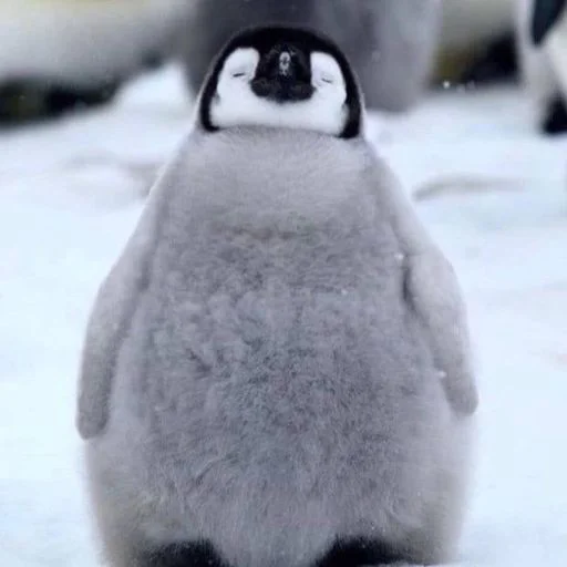 Sticker VZeQPdO_by_sticbot - 1