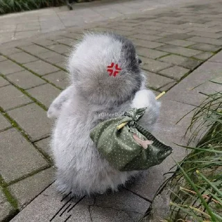 Sticker 🐧Джей🐧 • @sticbot - 8