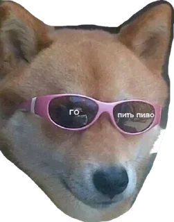 Sticker Бланш - 5