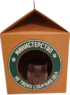 Sticker Very Important Pictures - 0